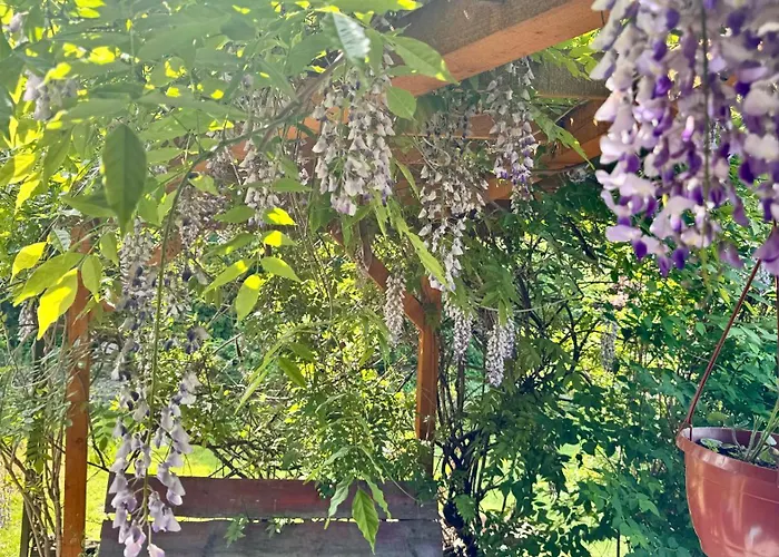 Jasminowy Ogrod Brenna